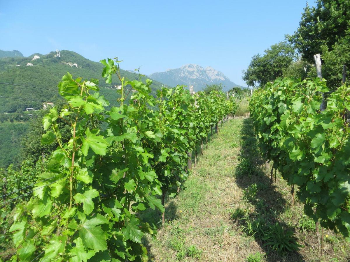 Willa Ancient Estate "Il Trignano" Vietri Zewnętrze zdjęcie