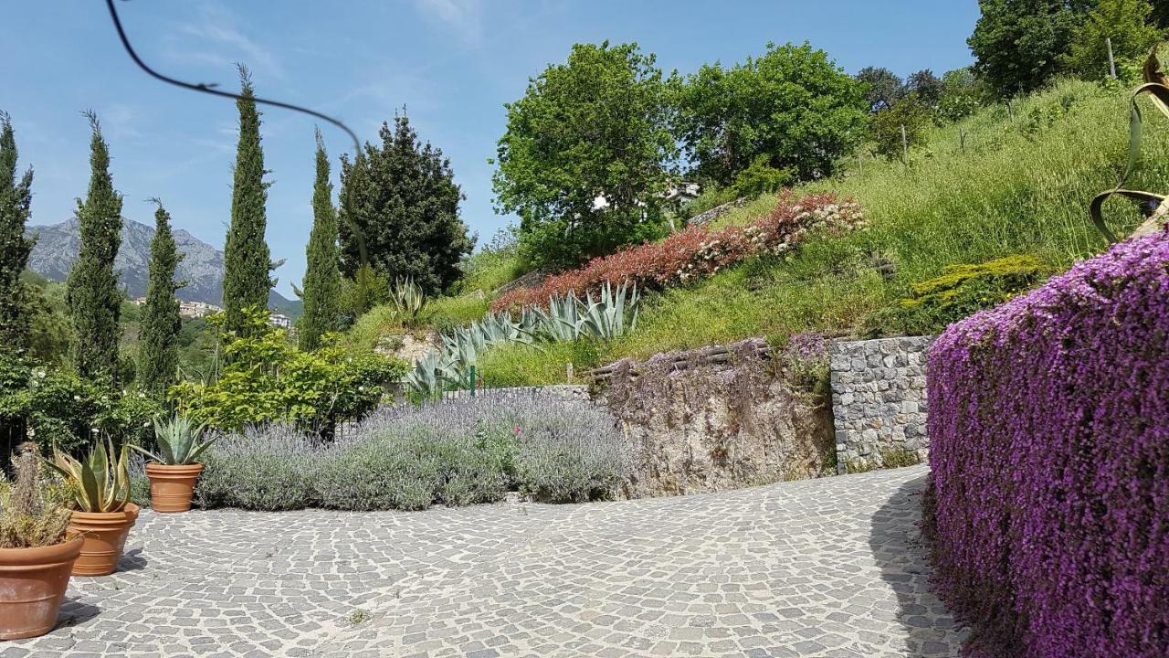 Willa Ancient Estate "Il Trignano" Vietri Zewnętrze zdjęcie